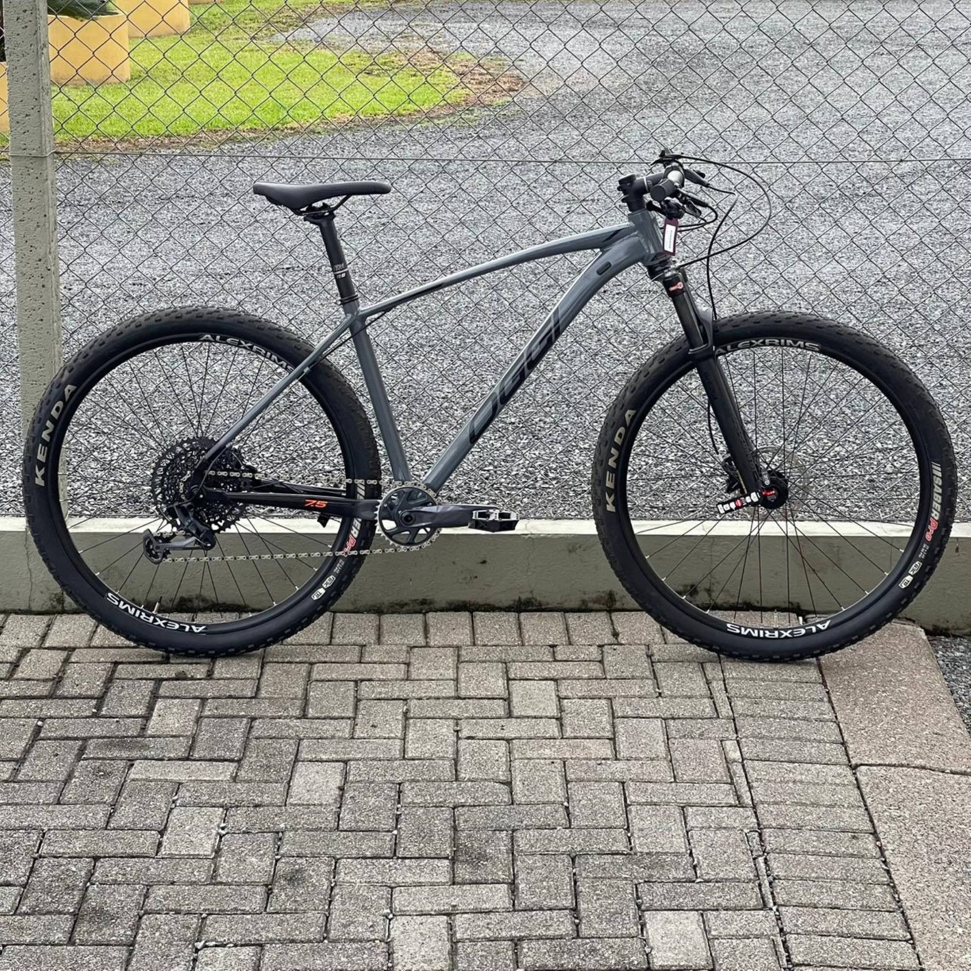 Oggi Big Wheel 7.5 Limited GX 12v Aro 29 | Dárine Bike Shop